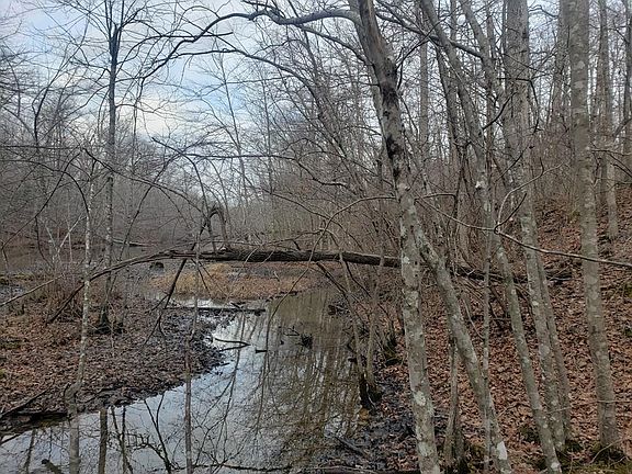 3rd image of Cumberland View Dr