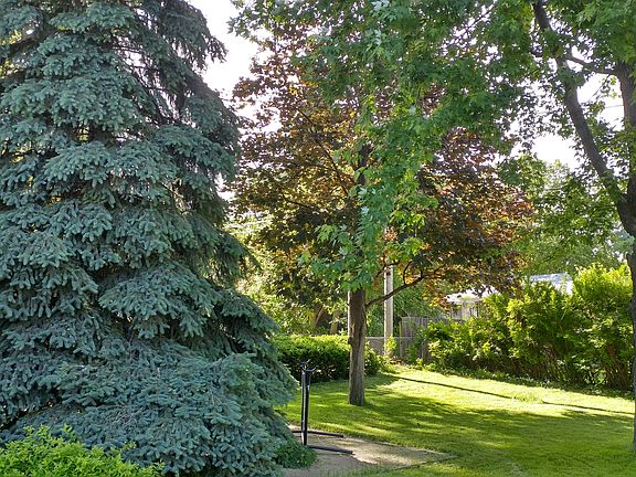 Beautiful landscaping