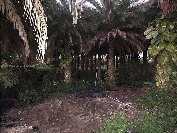 4th image of 31500 SW 207th Ave