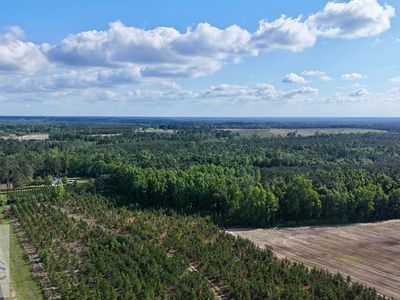 2 Oscar Tippins Rd, Baxley, GA, 31513