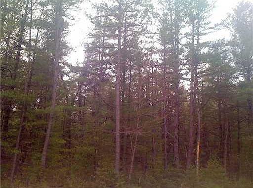 2nd image of Lot 5-2 West/ Blueberry Road