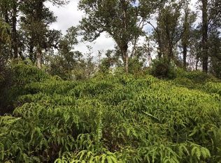 Hibiscus St, Mountain View, HI 96771