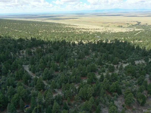 Big Bear Road, Mosca, CO 81146