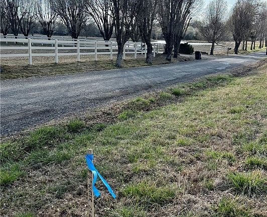 3rd image of W Pryor Ave