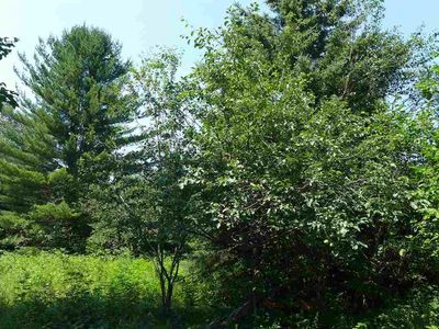 0 Riggsville Rd, Cheboygan, MI, 49721