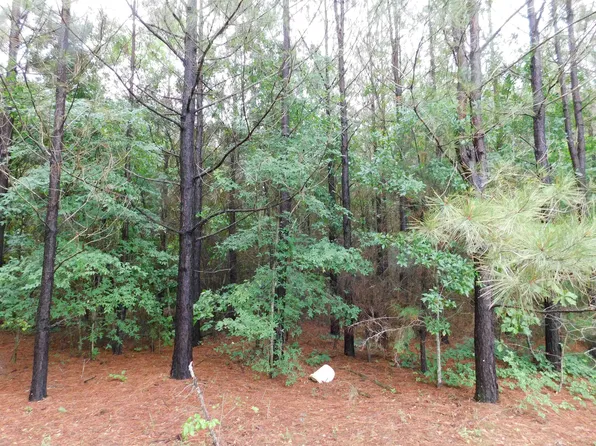 Tbd Groundhog, Gilmer, TX 75644