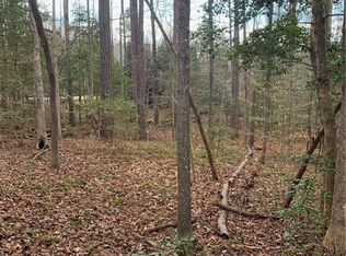 15549 Chesdin Landing Ct, Chesterfield, VA 23838