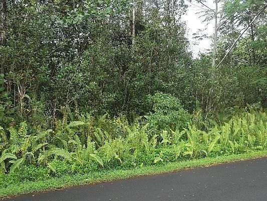 2nd image of 22nd Ave Lot 298