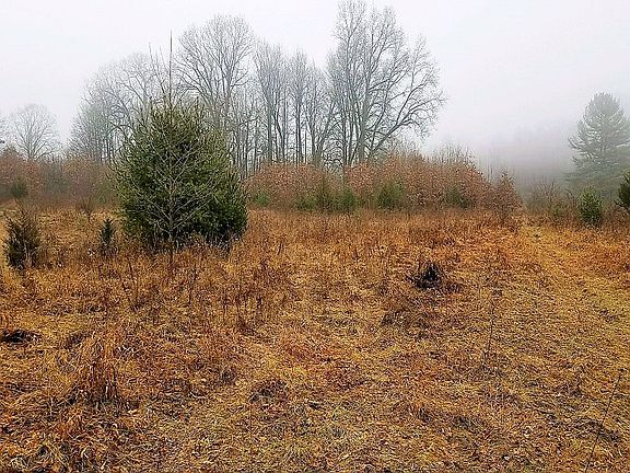 3rd image of Route 9