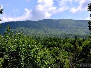 537 Narrows Rd, Sapphire, NC 28774