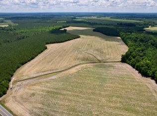 83.03 Acres - Birch Creek Rd., Andrews, SC 29510