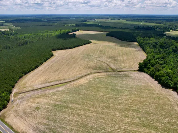 83.03 Acres - Birch Creek Rd., Andrews, SC 29510