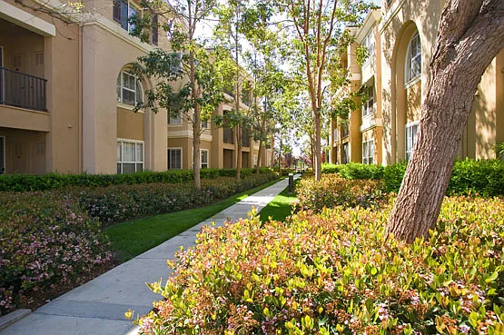 Newport Ridge Apartment Homes — Photo 8