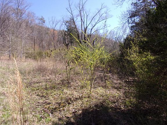 4th image of 1442 Old York Hwy N