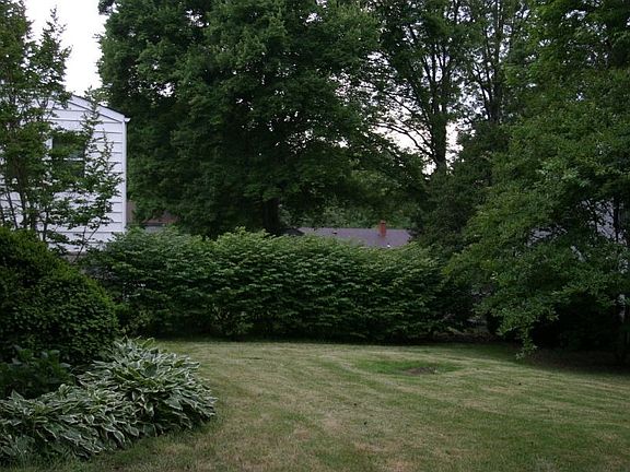 Back Yard (1)