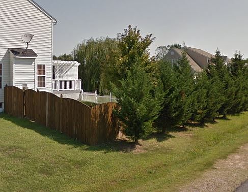 3rd image of 11811 Sawgrass Ln