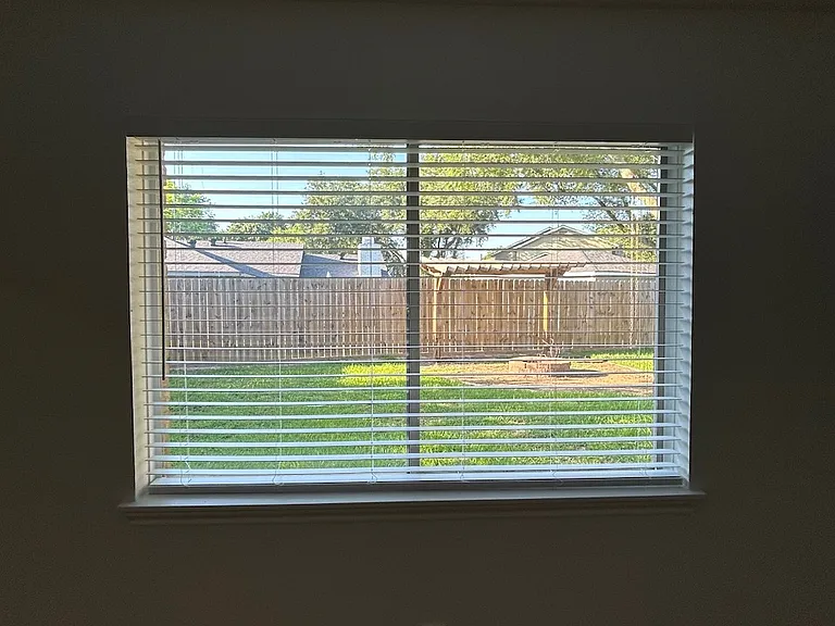 Tranquil Master Bedroom View