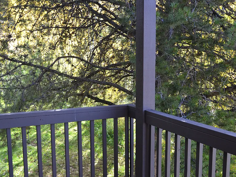 2970 Columbine Dr #501 — Photo 9