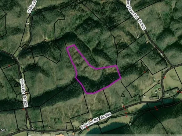 Tbd Fairview Rd, Duffield, VA 24244