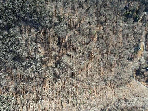 5th image of 9999 Hookers Gap Rd