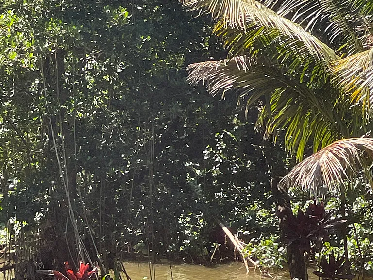 Paalaa Rd — Photo 13