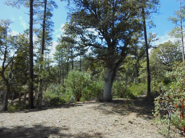 26 W Sage Ct, Pine, AZ 85544