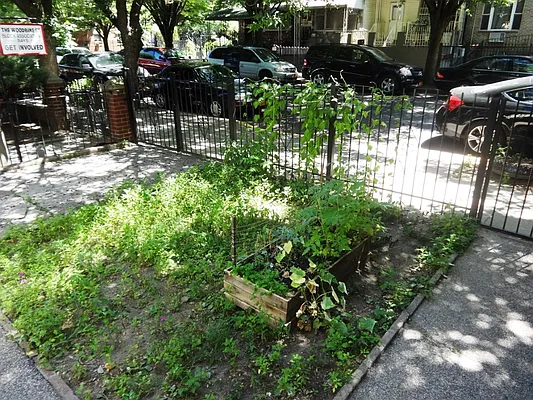 Rented by Blue Egg Realty Corp | media 22