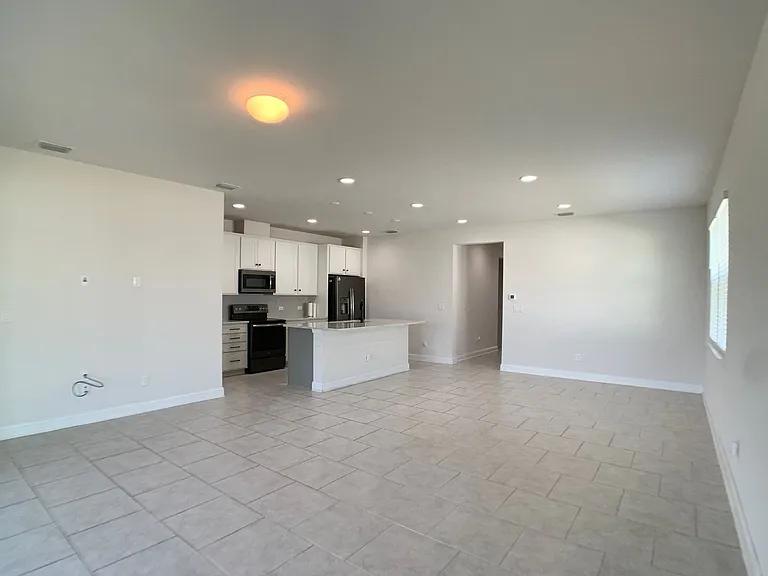 1499 Tropical Pine Cv — Photo 16