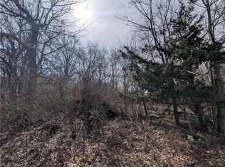 Vl North Ridge Rd, Lorain, OH 44053