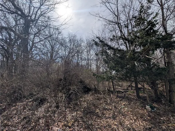 Vl North Ridge Rd, Lorain, OH 44053
