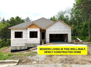 250 Everett Mill Rd, Branson, MO 65616