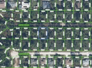 334 Caspian Tern Ave, Sebring, FL 33872