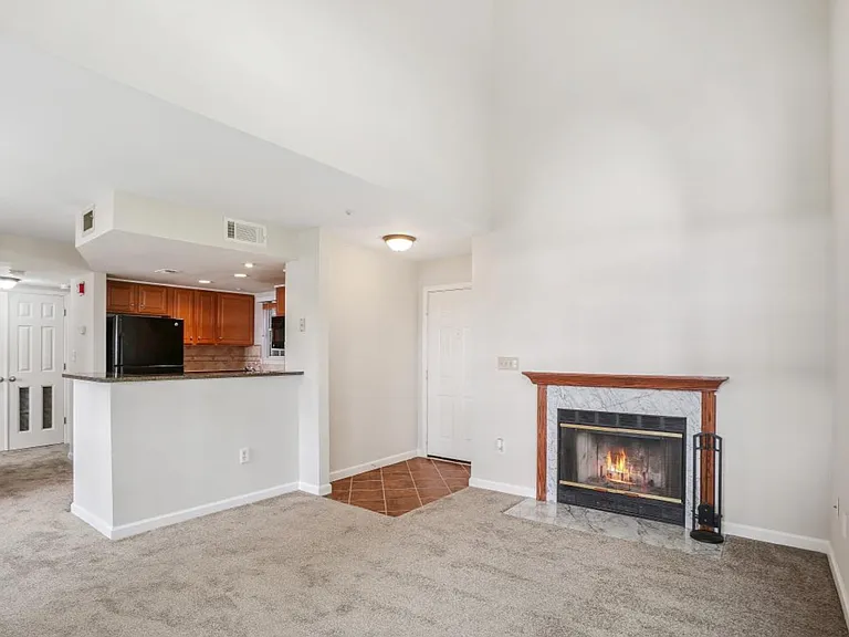 919 Hillside Lake Ter #310 — Photo 8