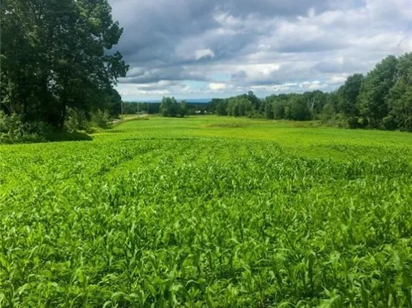 Kerber Rd #24, Ava, NY 13303