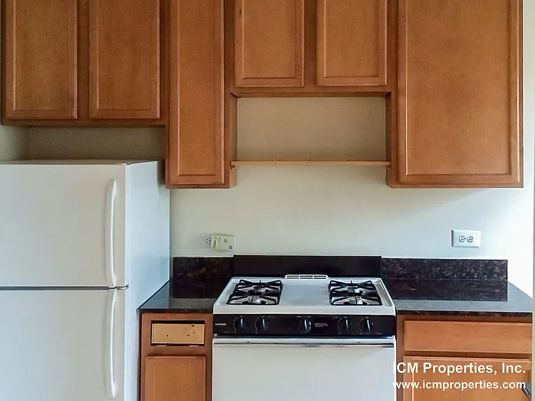 4857 N Paulina St #4859P-3A — Photo 8