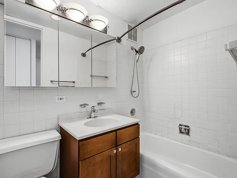 655 W Irving Park Rd #4008 — Photo 9