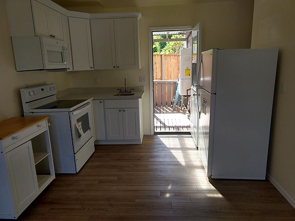 first floor kitchen leading out to a 10x10 deck plus a one step down to a 6 X10 graveled area and Astro turf for a dog