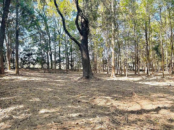 3rd image of 18386 County Road 2154