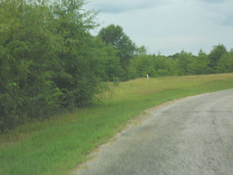 2nd image of 131 Phillips Rd