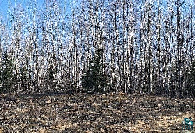 2nd image of TBD Highway 115