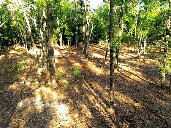 3rd image of NE Tansy Road Lots #2