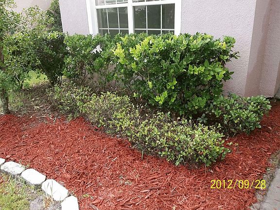 5th image of 4636 Aguila Pl