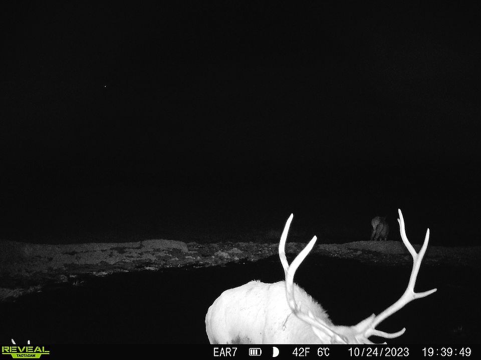 1st image of Divide Rd #35-38