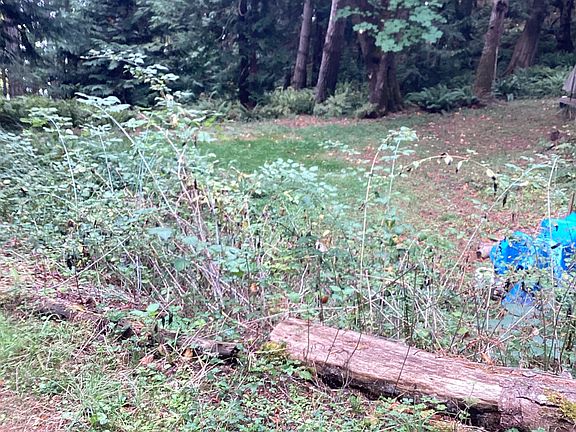 Some studies available from Seller