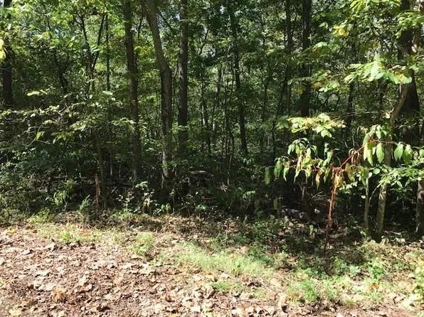Birsay Cir, Cir, AR 72715
