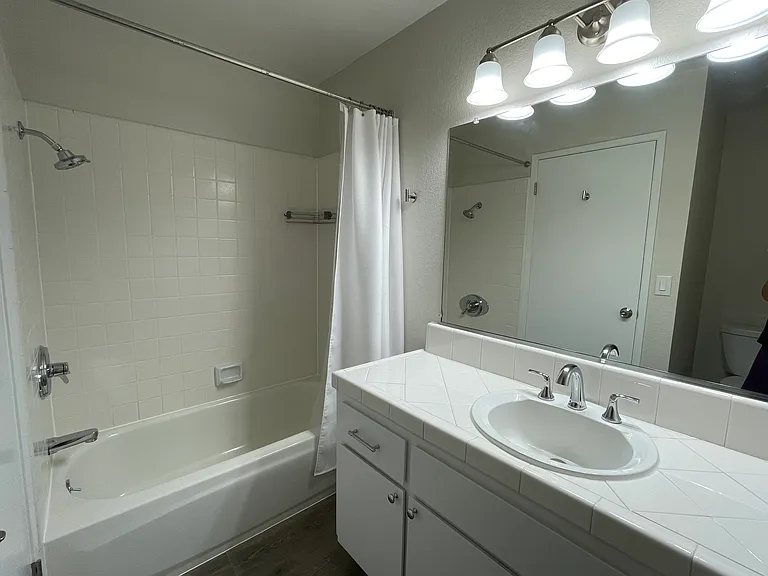 Hall bath, new laminate flooring, paint, faucet, and light fixture.