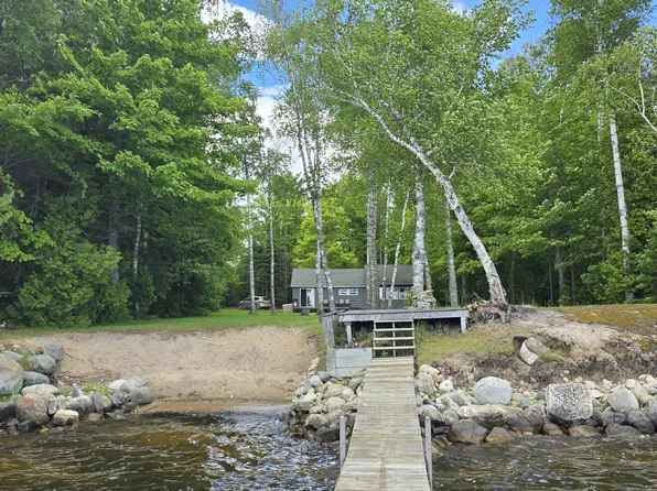 N 4223 Goverment Rd, Moran, MI 49760