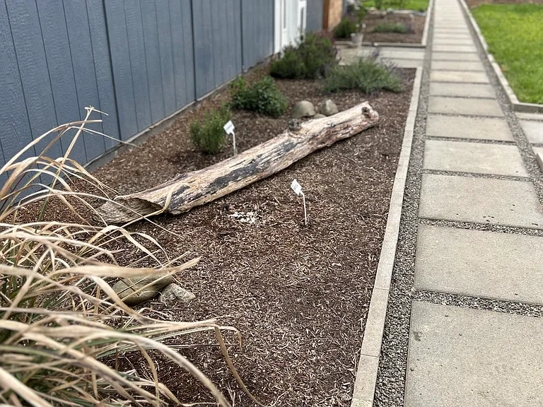 Path to Garden Flat