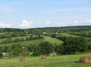 8909 Oak Hill Rd, Savona, NY 14879