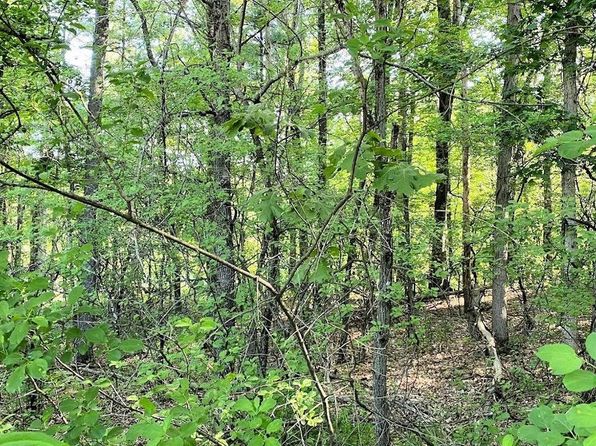 L11 Orrin Anderson Pass #11, Wisconsin Dells, WI 53965